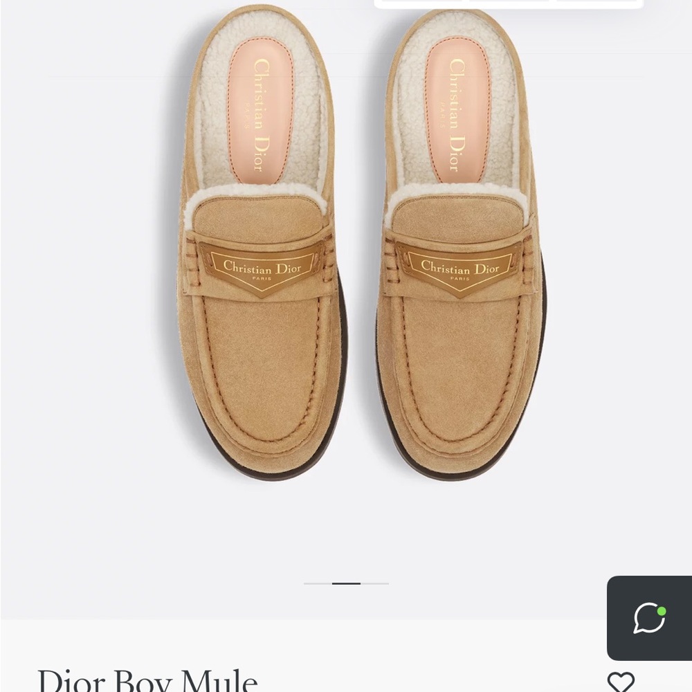 Dior boy mule